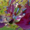 Kristel Schwede "Euphoric Iris" 1-4 - Image 3