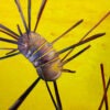 Heleliis Hõim "Nano" - Image 2