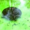 Katrin Kaev "Peegeldused II" - Image 2