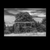 Peeter Sirge “Reliktid 3” - Image 2