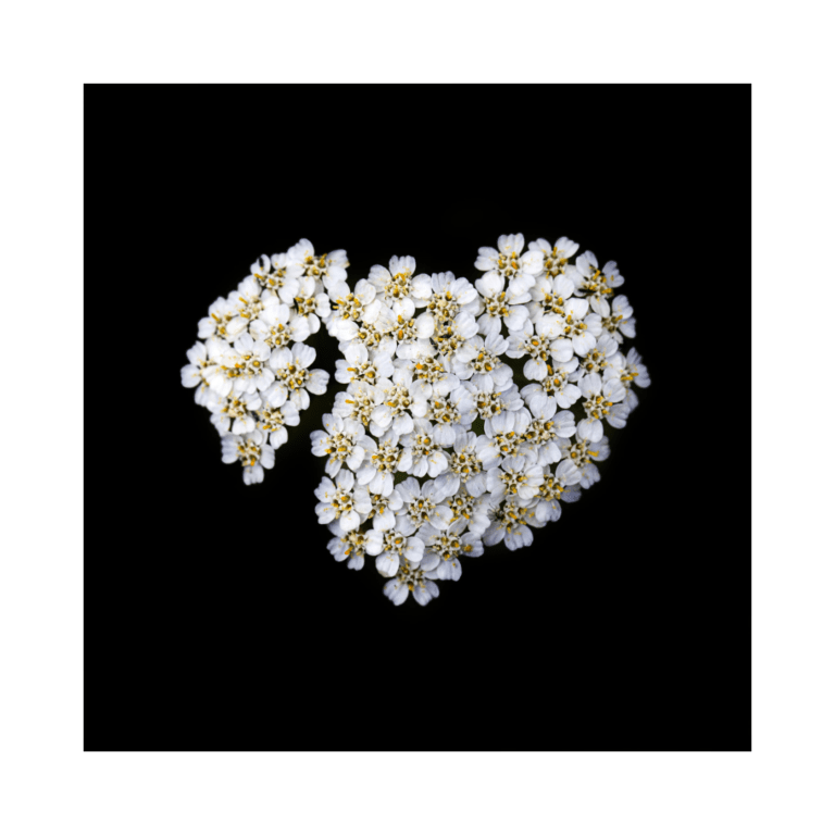 The Heart of Lilli, Liis Karu