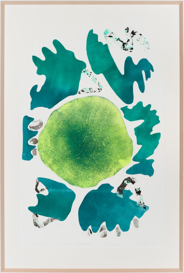 Kadri Toom “Dissolved” - Image 2