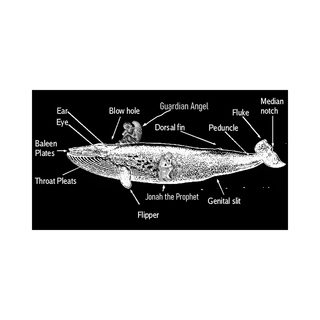 Jaak Kadarik “In the Belly of the Whale (Jonah’s Escape)”