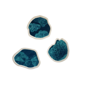 Kadri Toom “Tagajärv (Hatiku), Must järv (Luhasuu Mustjärv), Vaikne järv”