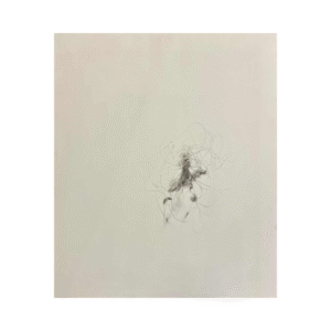 Elis Saareväli “Nimeta”