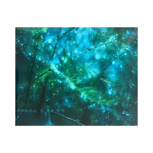 Peeter Laurits “Rainnews. Acceleration of Consciousness”