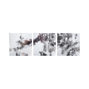 Heleliis Hõim “Grafiit õlis B2, H2, H6” seeria