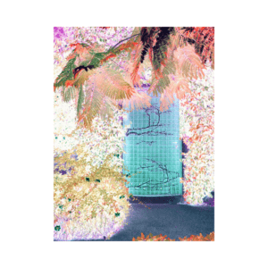 Kristel Schwede “Hoitud või unustatud”