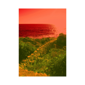 Kristel Schwede "Õhtu usaldus"